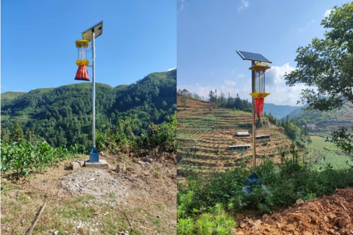 豪门国际售后人员对麻栗坡县1000台杀虫灯进行春季巡检