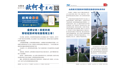 2021年第十一期《豪门国际月刊》发行