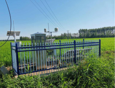 豪门国际土壤墒情监测仪助力内蒙古扎赉特旗