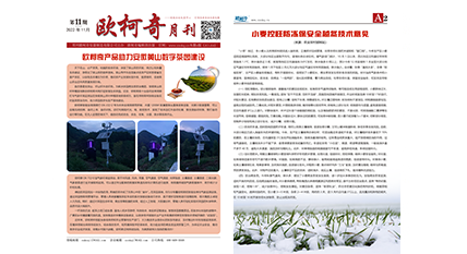 2022年第十一期《豪门国际月刊》发行