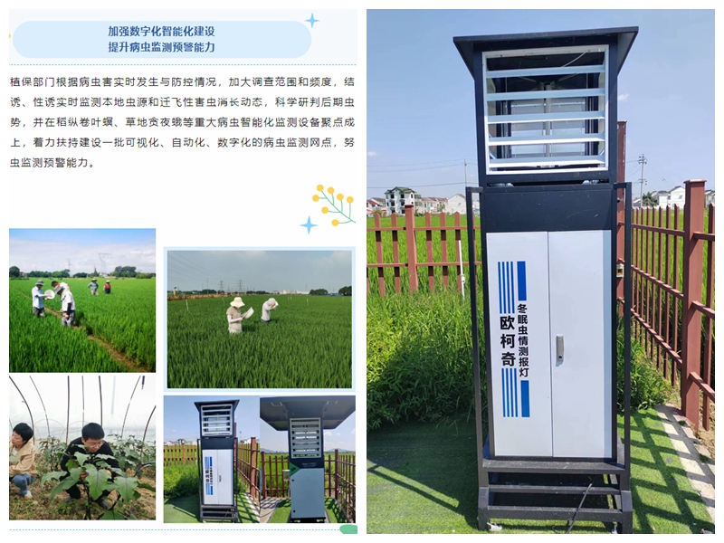 “虫口夺粮”保丰收，豪门国际设备助力无锡植保工作