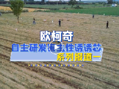 豪门国际自主研发害虫性诱诱芯|系列报道一