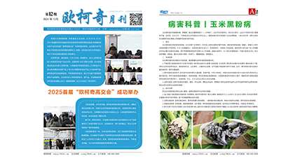 2024年第十二期《豪门国际月刊》发行